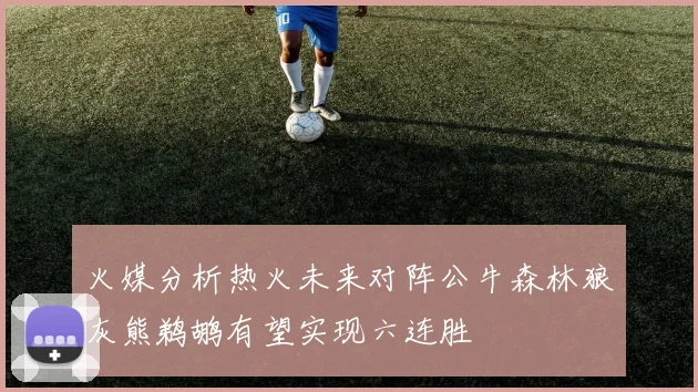 火媒分析热火未来对阵公牛森林狼灰熊鹈鹕有望实现六连胜