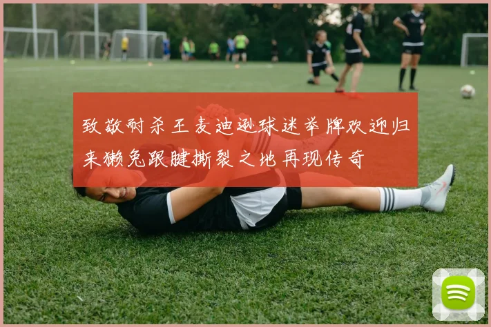 致敬耐杀王麦迪逊球迷举牌欢迎归来獭兔跟腱撕裂之地再现传奇