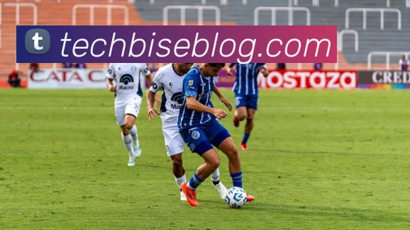 开云手机在线登陆入口发展历程